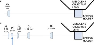 Application of Light-Sheet Mesoscopy to Image Host-Pathogen Interactions in Intact Organs